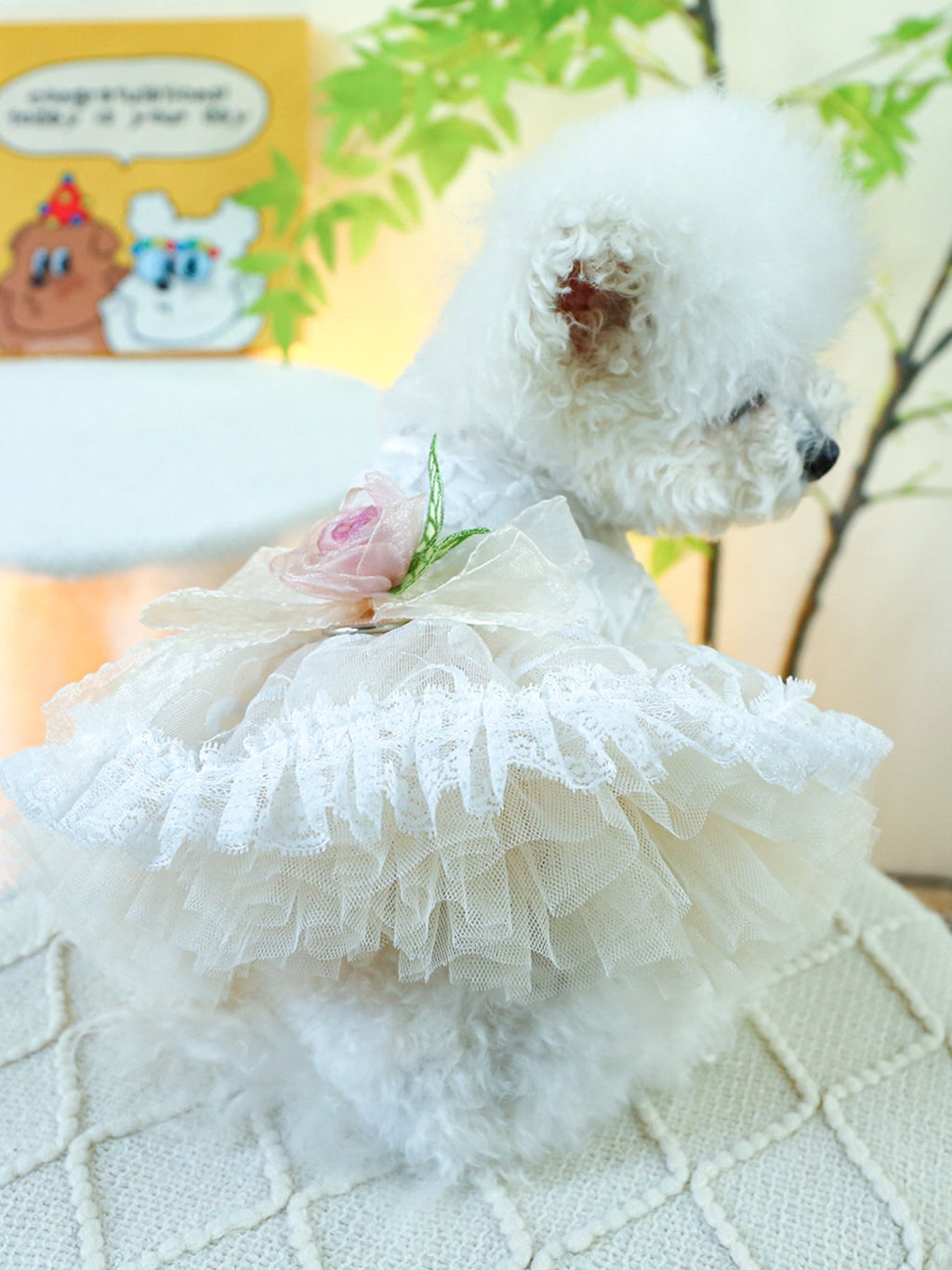 Ruffled Lace Pet Dress