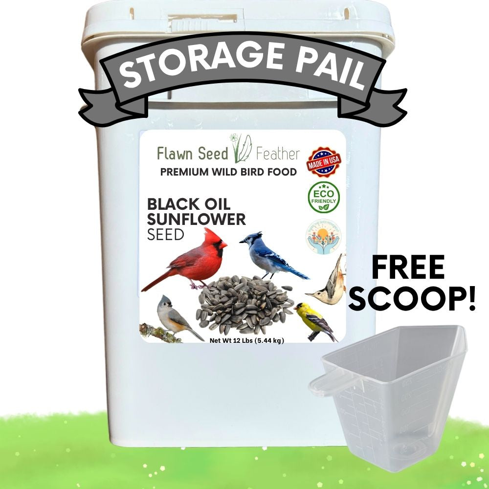 Premium Black Oil Sunflower Wild Bird Seed