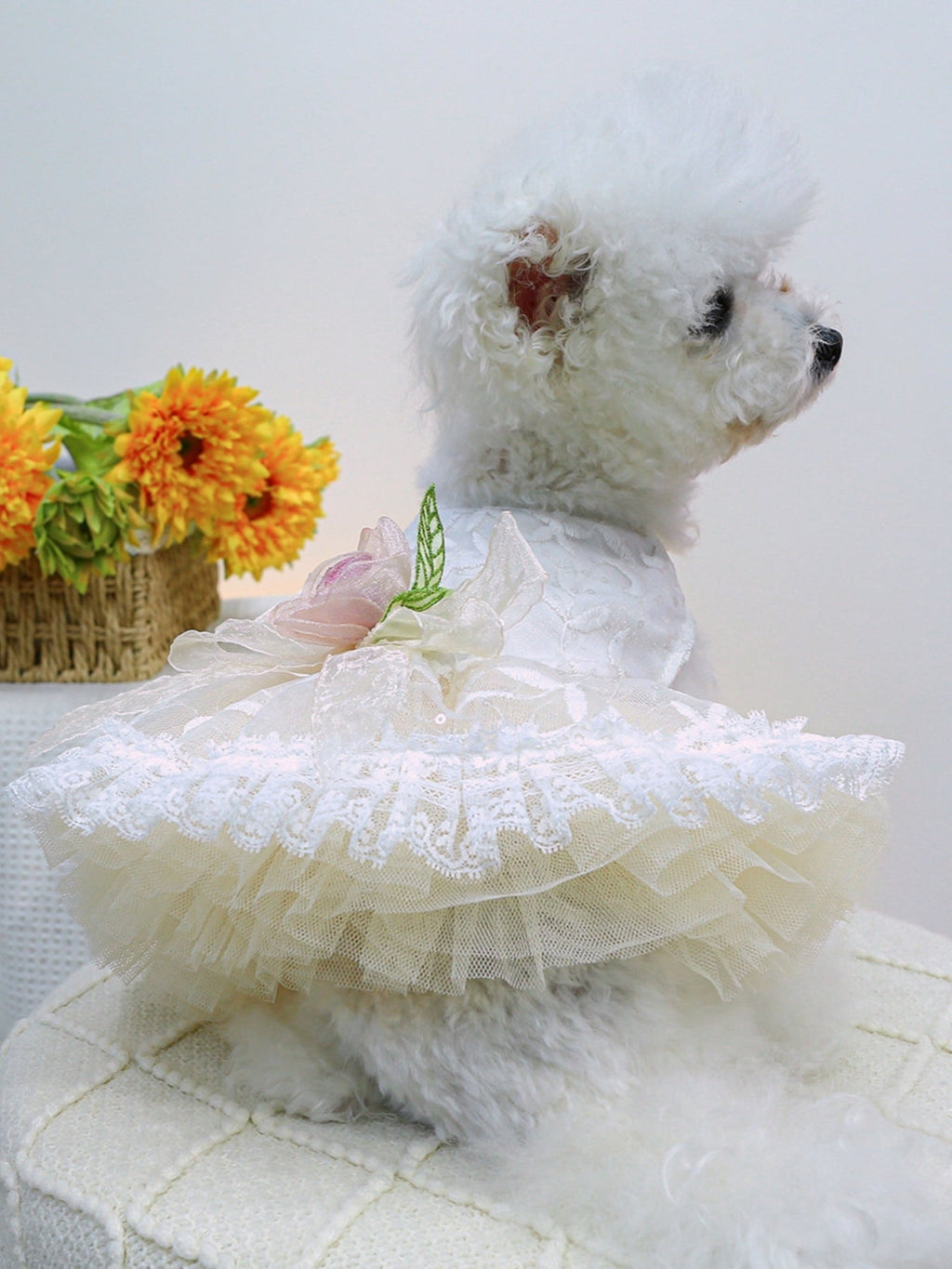 Ruffled Lace Pet Dress