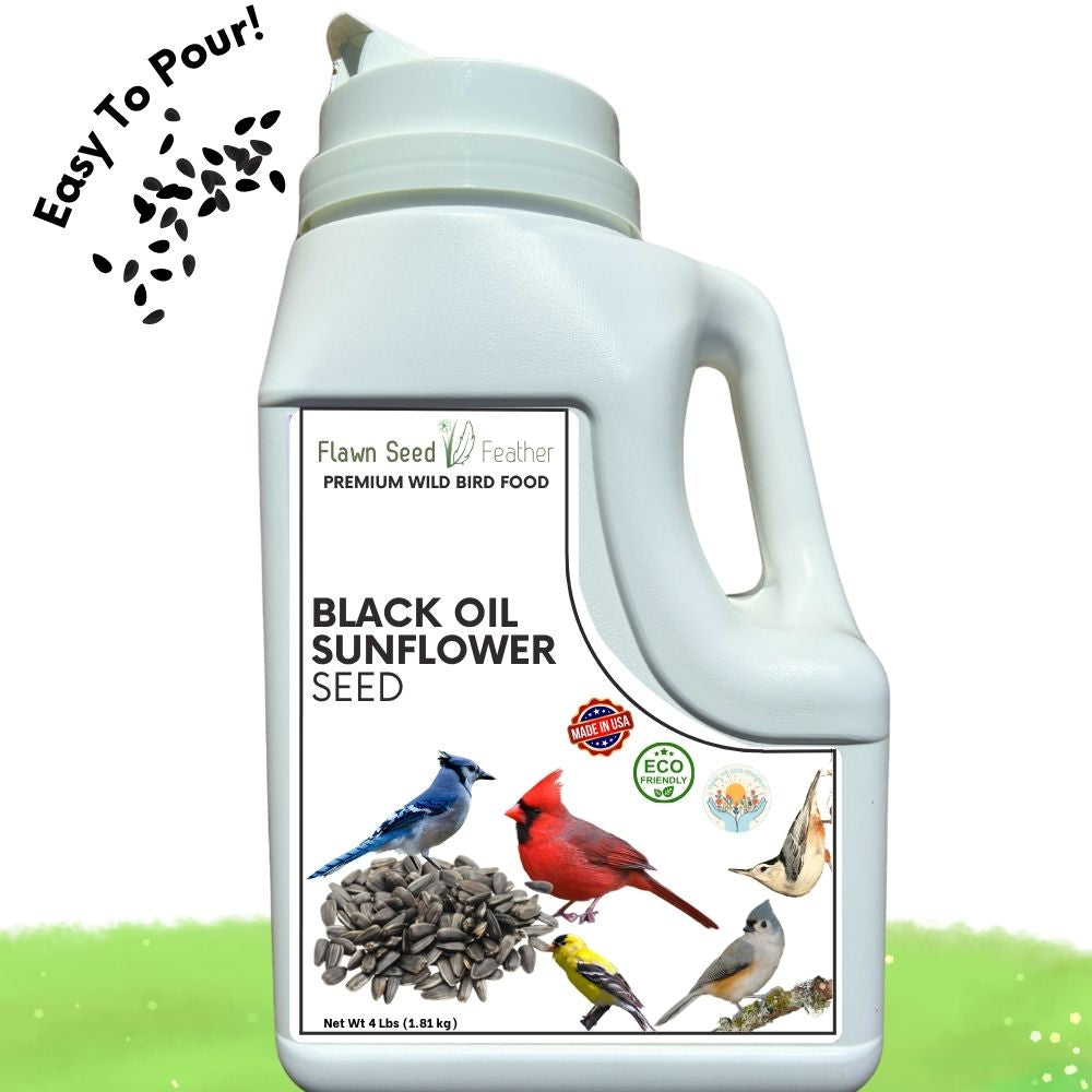Premium Black Oil Sunflower Wild Bird Seed