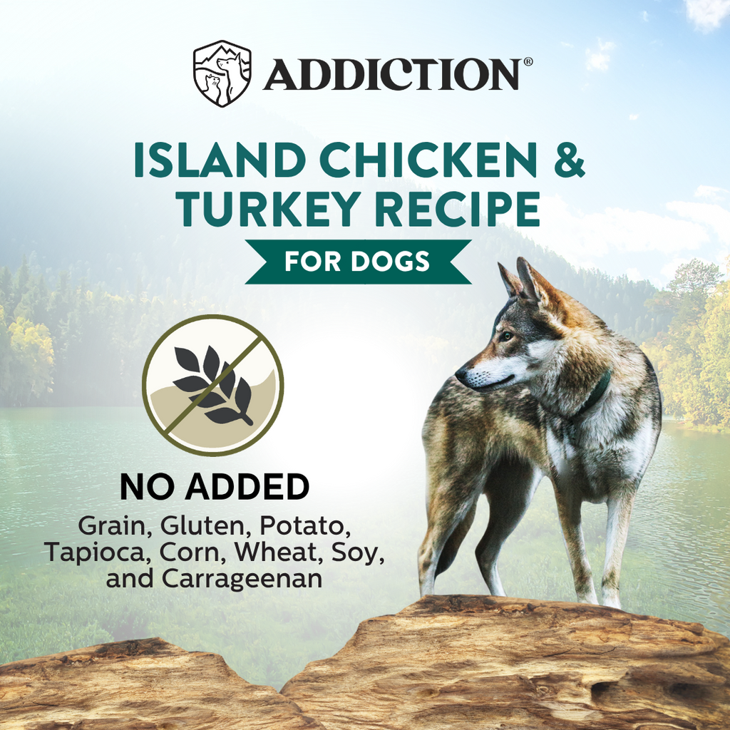 Wild Islands Canned Dog Food Mix Flavor Bundle 185g
