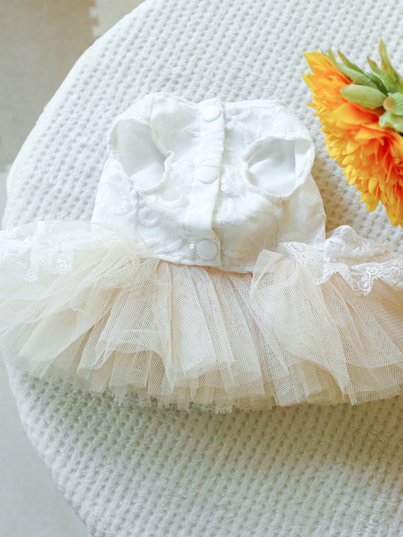 Ruffled Lace Pet Dress