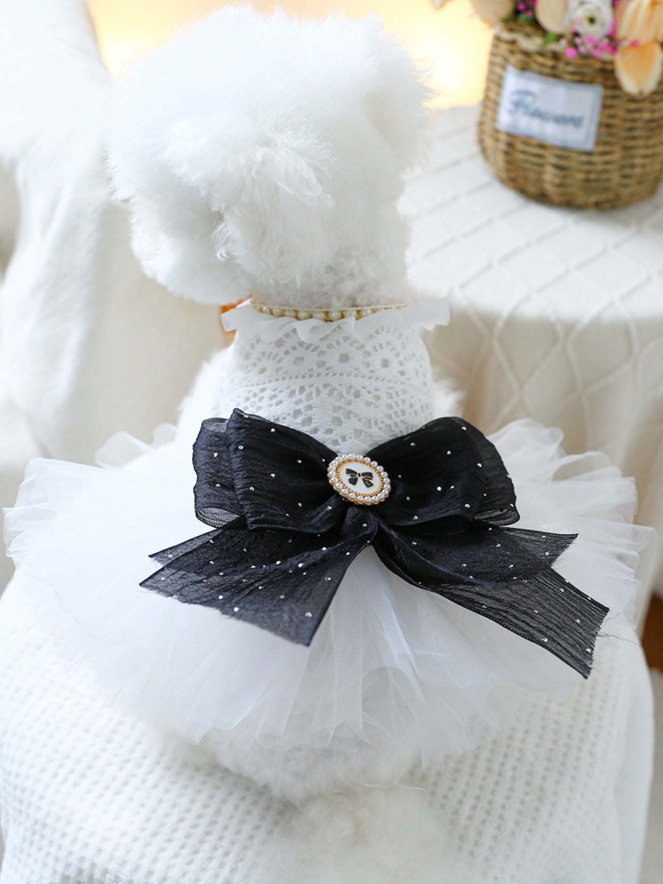 Ruffled Lace Pet Dress