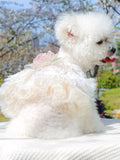 Ruffled Lace Pet Dress