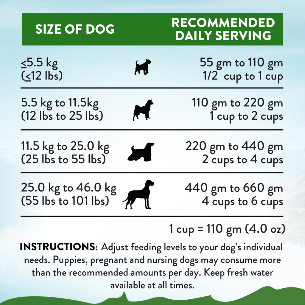 Zen Vegetarian Dry Dog Food - Trial Pack Bundle of 12