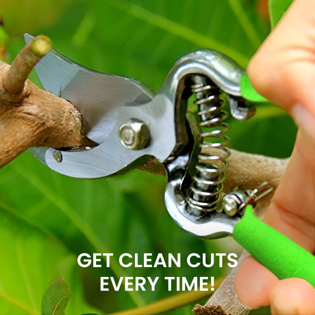 GARDEN GURU Classic Bypass Pruning Shears Clippers & Garden Tool Blade Sharpener