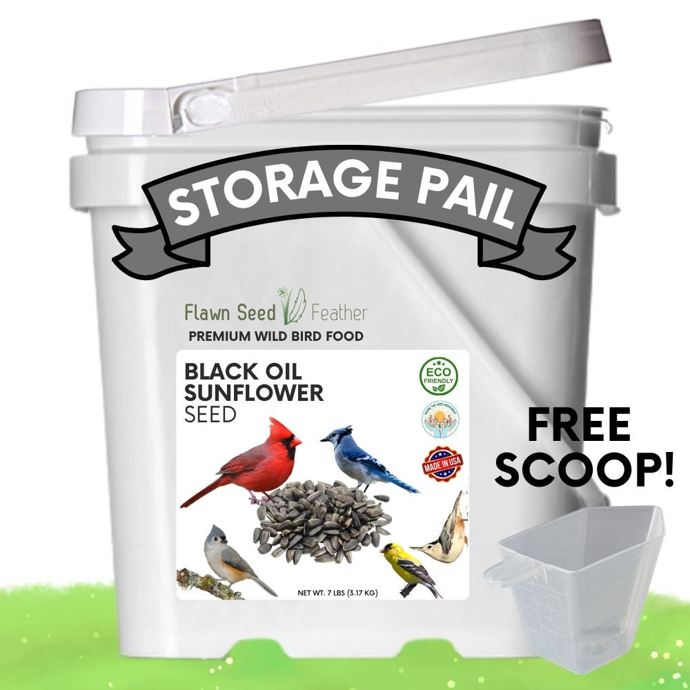 Premium Black Oil Sunflower Wild Bird Seed