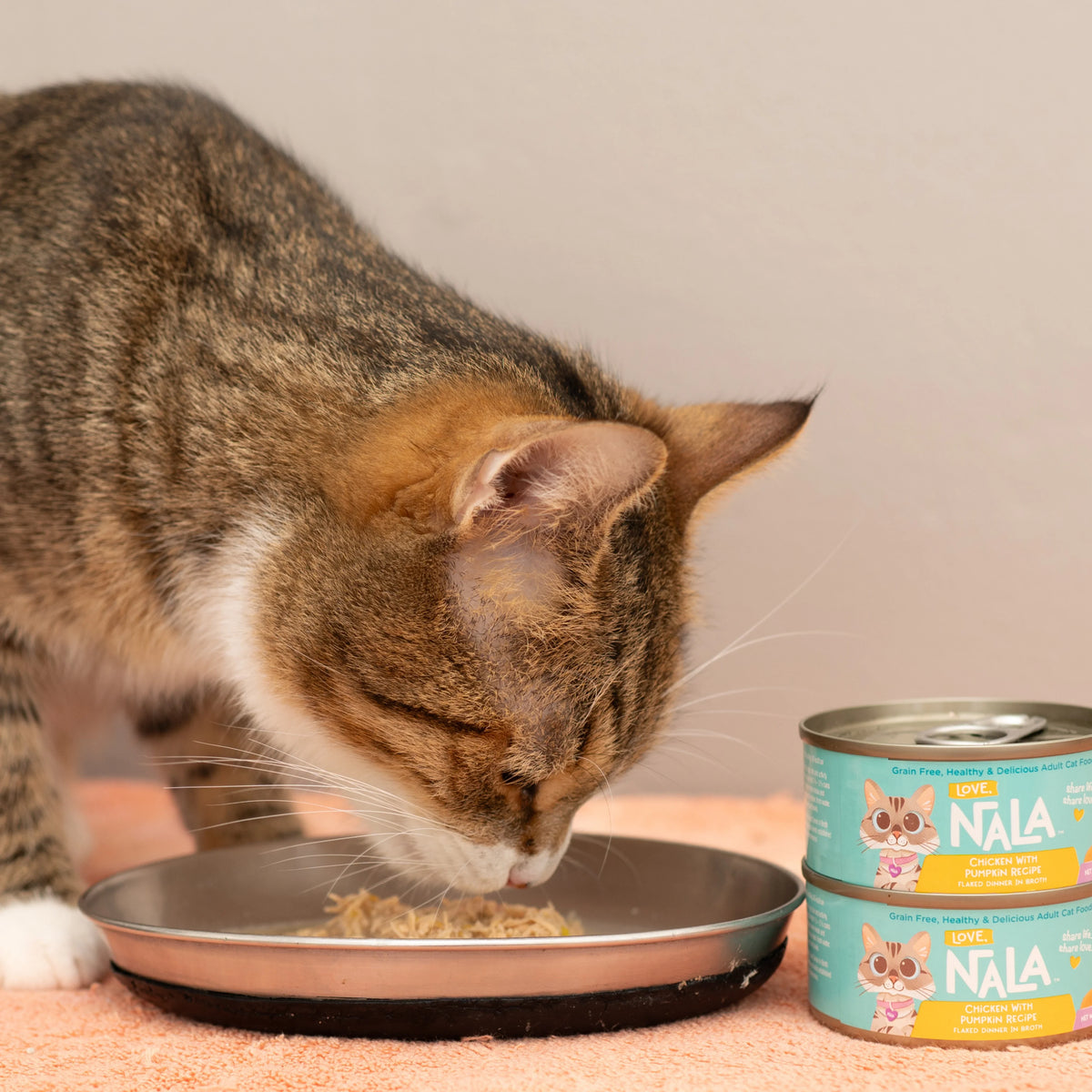 Chicken Flaked With Pumpkin Recipe Dinner In Broth Adult Cat Food, 2.8-oz