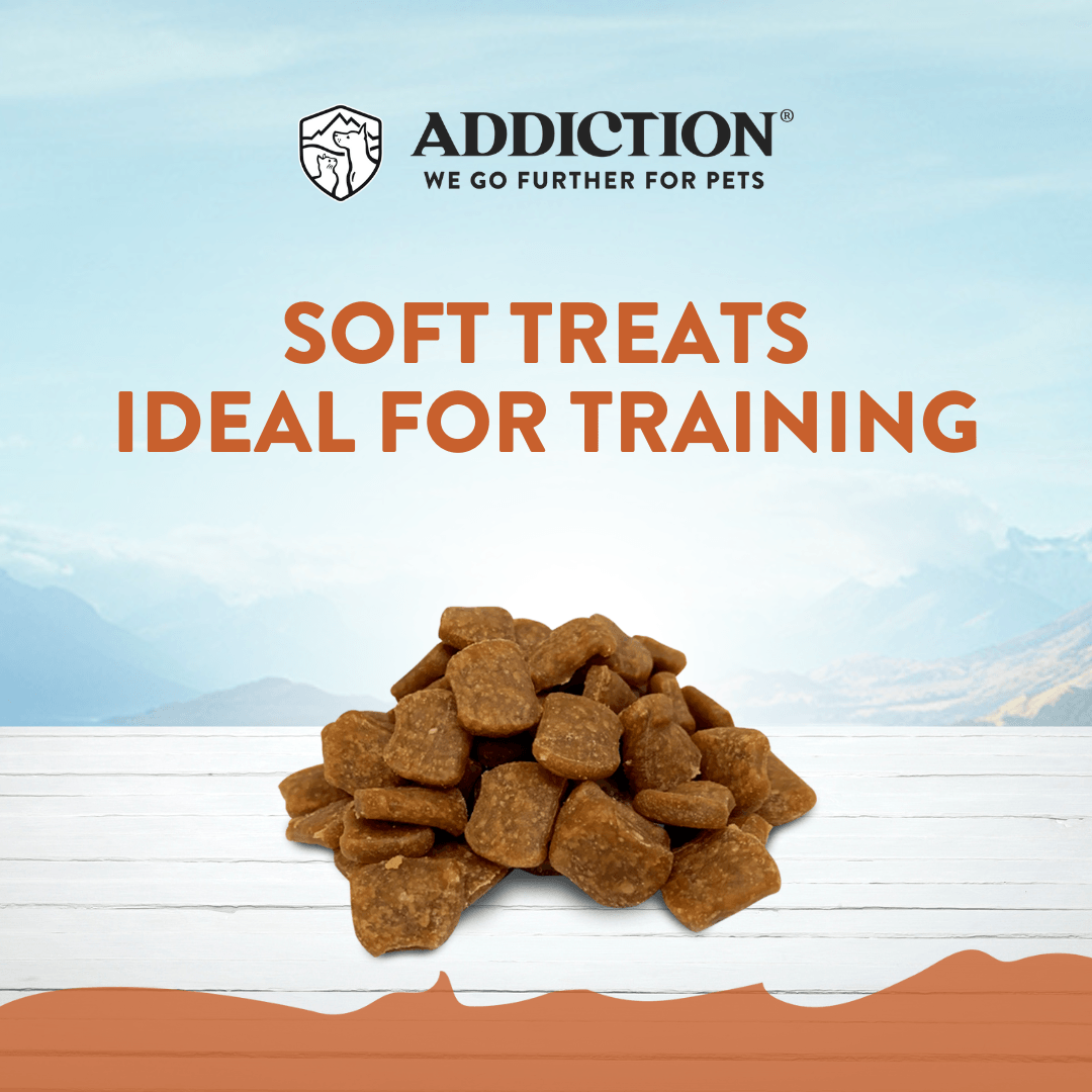 Addiction Wild Kangaroo Dry Dog Food & Meaty Bites Dog Treats Bundle