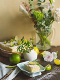 Lime Blossom - Premium Fragrance Oil