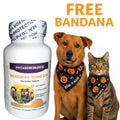 Piccardmeds4pets Denomax Same 225 for Dogs and Cats 30 Count + FREE Bandana!