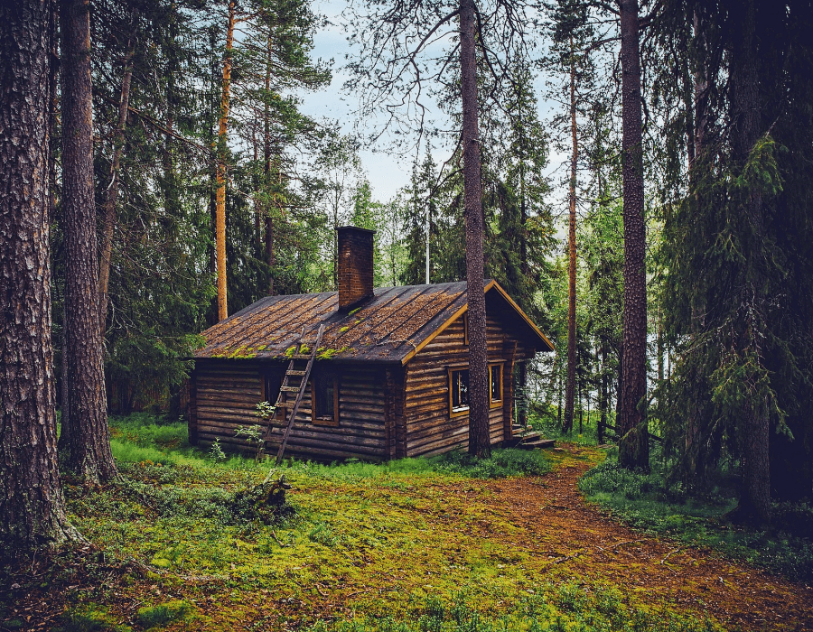 NorthWoods - Premium Fragrance Oil