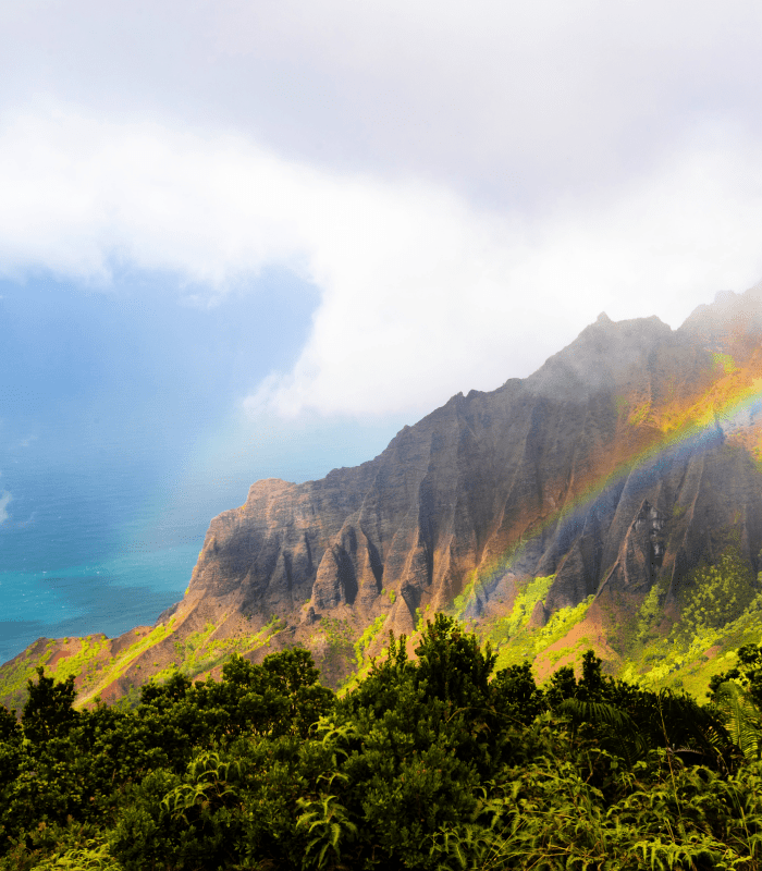 O'ahu  - Premium Fragrance Oil