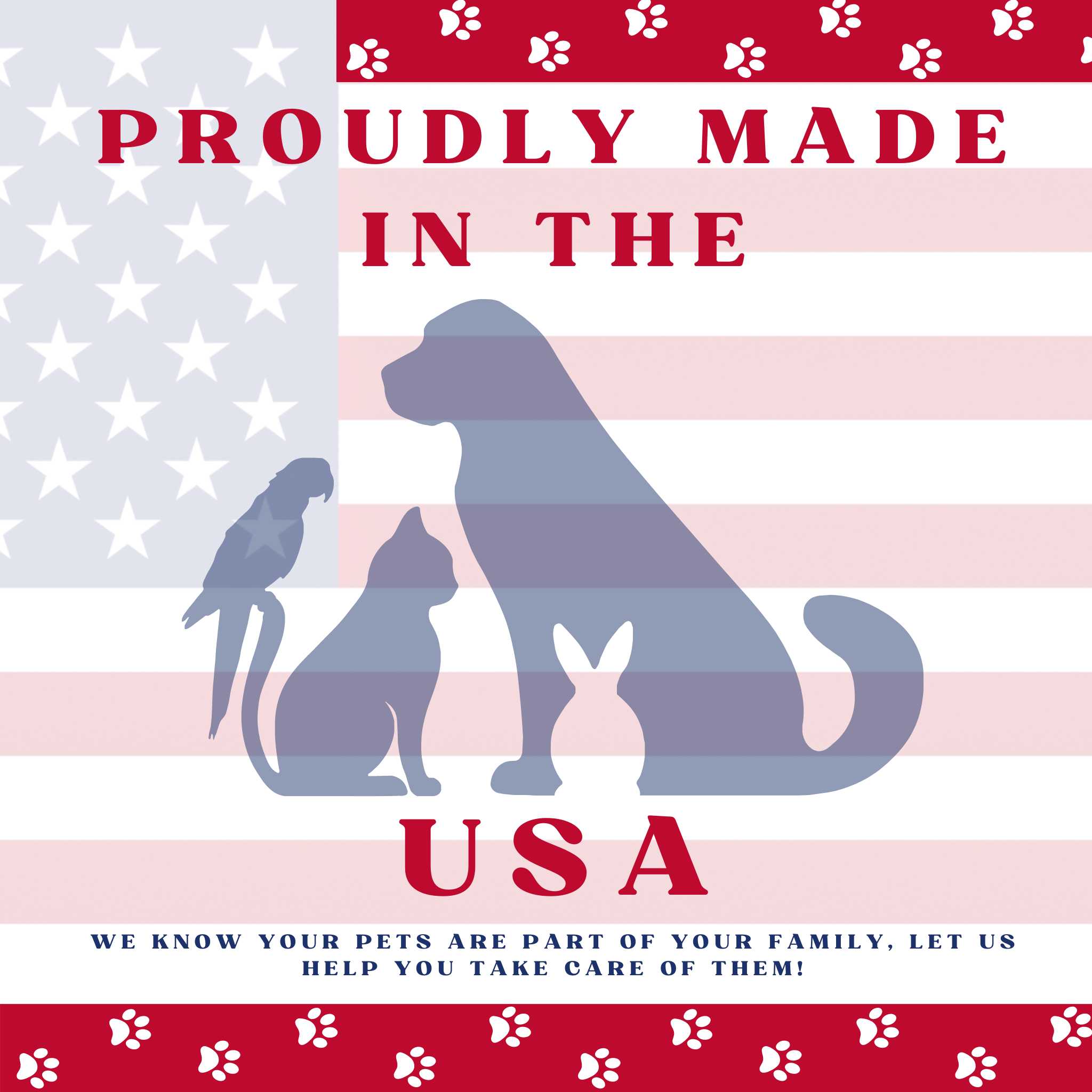 Piccardmeds4pets Ear Cleansing Solution  Salicylic Acid Aloe 4 oz. + Free Bandana