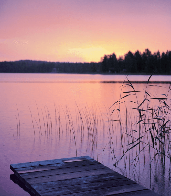 Summer Nights - Premium Fragrance Oil
