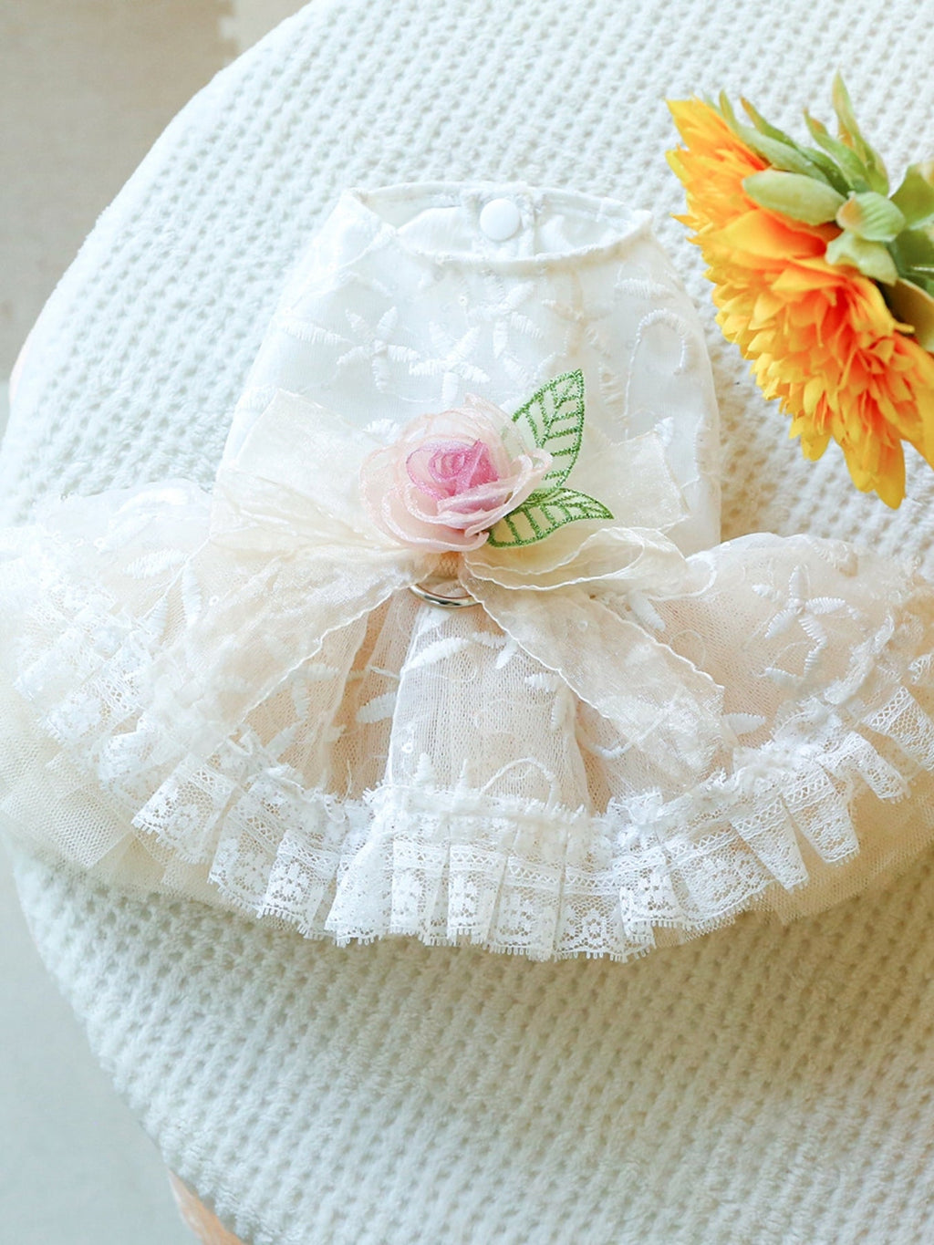 Ruffled Lace Pet Dress