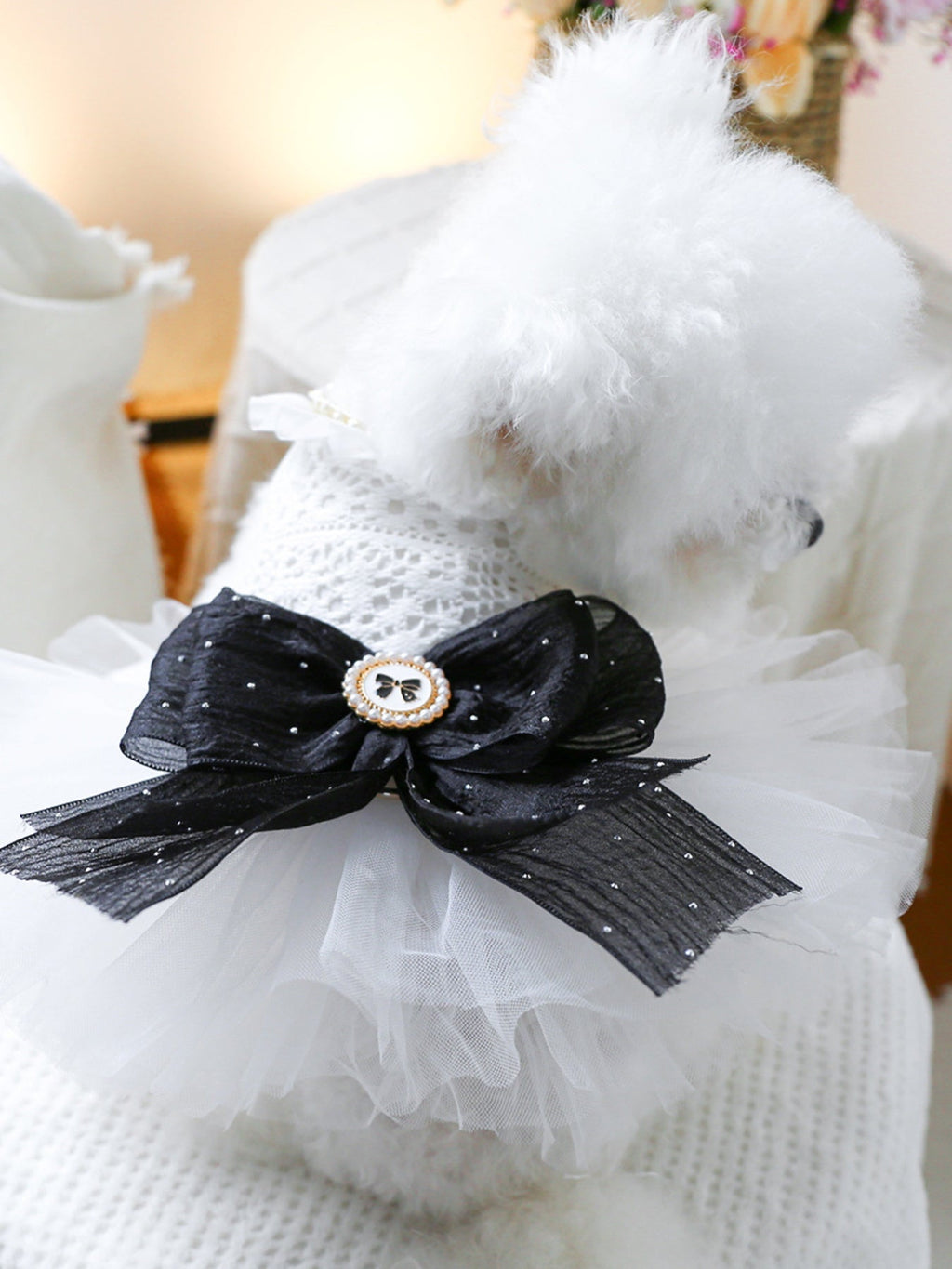 Ruffled Lace Pet Dress