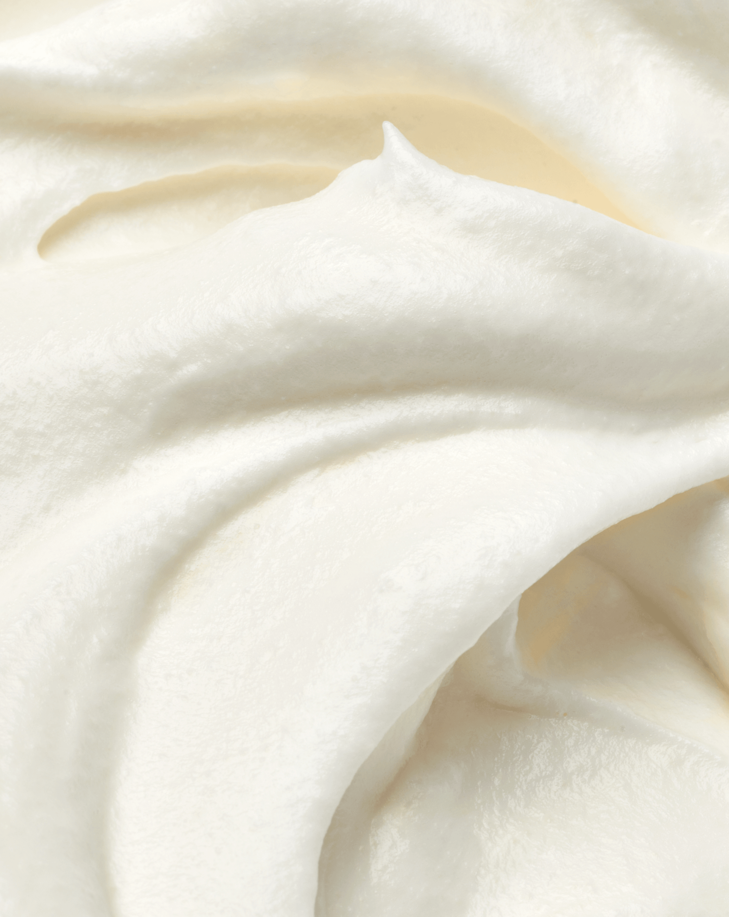 CAKE WHIP / vanilla bean
