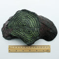 Resin Reptile Balcony Climbing Rockery - Simulated Turtle Platform For Fish Tanks And Aquariums