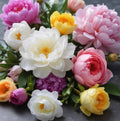 Flowerbomb type - Premium Fragrance Oil - Compare to Viktor & Rolf®