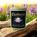Mystic Meadows